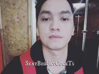 _SexyBigFatCockTs_