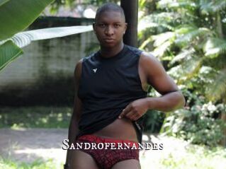 Sandrofernandes