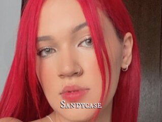 Sandycase