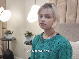 Sandyshayes
