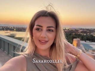 Sarahcollie