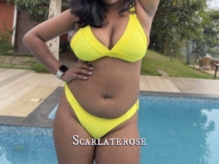 Scarlaterose