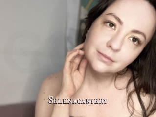 Selenacartery
