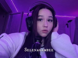 Selenagambee
