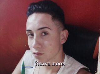 Shane_hook