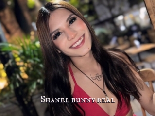 Shanel_bunny_real