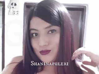Shaninapuleri