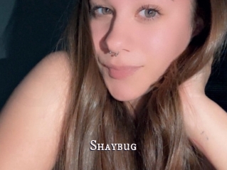 Shaybug