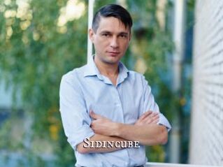 Sid_incube