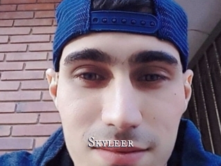 Skyleer
