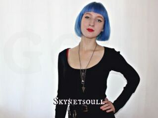 Skynetsoull