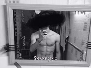Snake3150