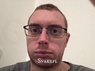 Snakefl