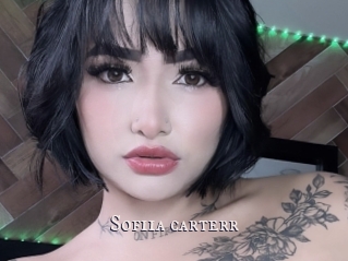 Sofiia_carterr