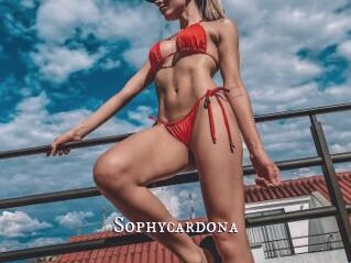 Sophycardona