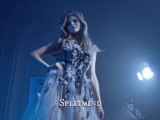 Splitmind