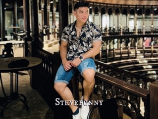 Stevebunny