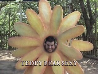 TEDDY_BEAR_SEXY
