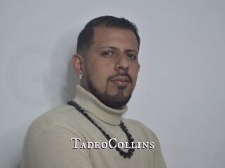 TadeoCollins