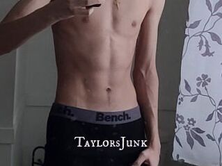 TaylorsJunk
