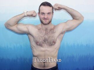 TeddyHard