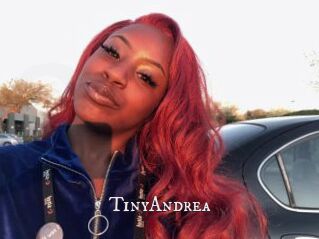 TinyAndrea