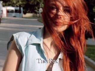 TinyFox