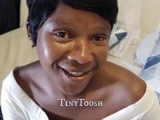 TinyToosh