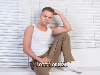 ToddYorkX