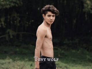 Tony_wolf