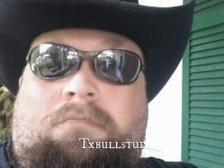 Txbullstud
