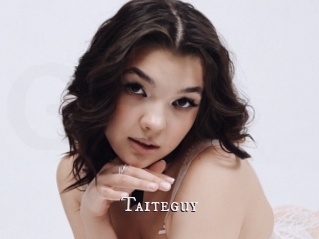 Taiteguy