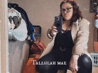 Tallulah_mae