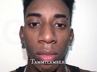 Tammylambert