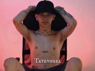 Tatevogel