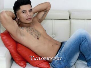 Taylorbigboy
