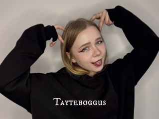 Tayteboggus