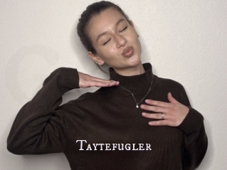 Taytefugler