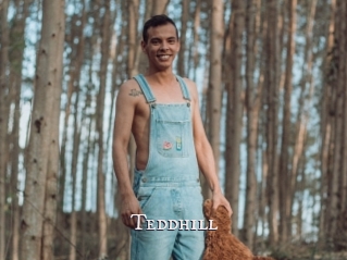 Teddhill