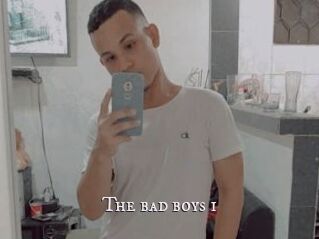 The_bad_boys_1