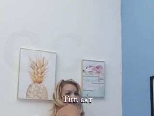 The_cat