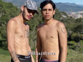 Thedairyboys