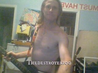 Thedestroyer100