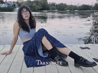 Transbate