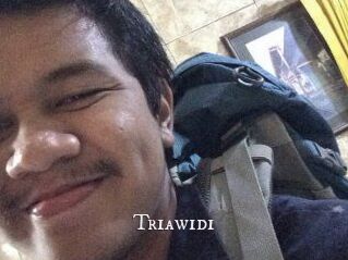 Triawidi