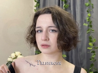 Trishrose