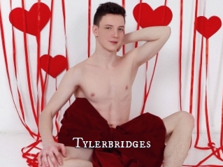 Tylerbridges