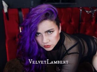 VelvetLambert