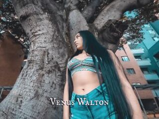 Venus_Walton