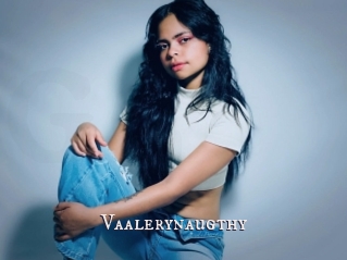 Vaalerynaugthy
